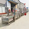 Máquina de Limpieza de Burbujas Bayberry Arándano Máquina Grande de Limpieza de Verduras Medicinales Máquina de Limpieza de Burbujas de Frutas y Verduras con Residuos Agrícolas