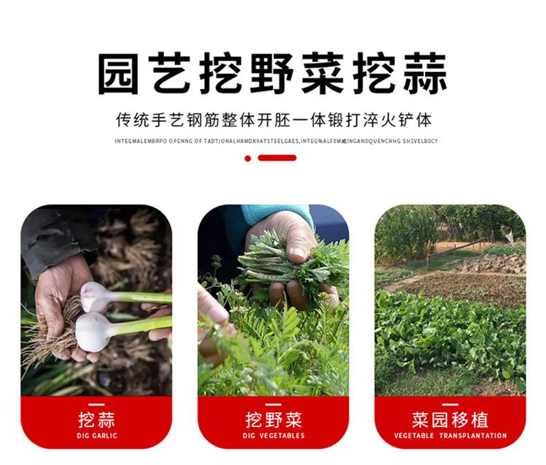 详情_02.jpg
