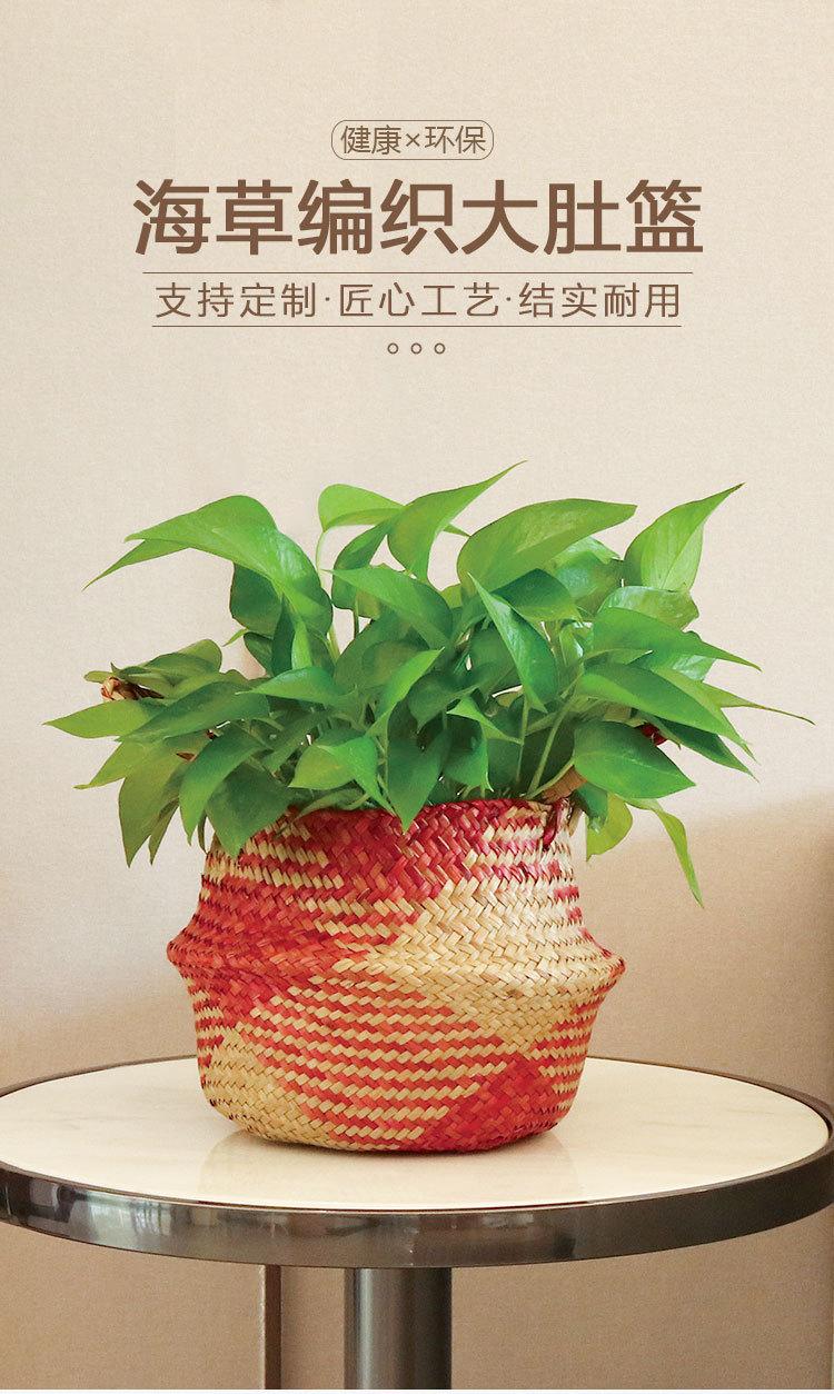 大肚篮_02.jpg