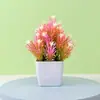 Amazon Explosões Simulação Planta em Vaso Combinação Decoração de Mesa para Casa Planta Verde Mini Planta de Simulação Bonsai Flor de Simulação