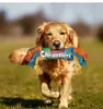 Juguete masticable para perros Rainbow Twist Candy con chirriador para rechinar los dientes, juego interactivo, resistente a las mordeduras, suministros para mascotas