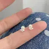 Brincos de Girassol Doces, Delicados e Requintados para Mulheres, Simples e Modernos, Versáteis e Elegantes, Brincos Frescos e da Moda de Celebridade da Internet