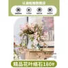 Planta de Interior Diamante Jade Chlorophytum Maceta Planta Verde Pimienta Hierba Veta Blanca Flores de Cuatro Estaciones Colgante Cultivo Hidropónico Perenne