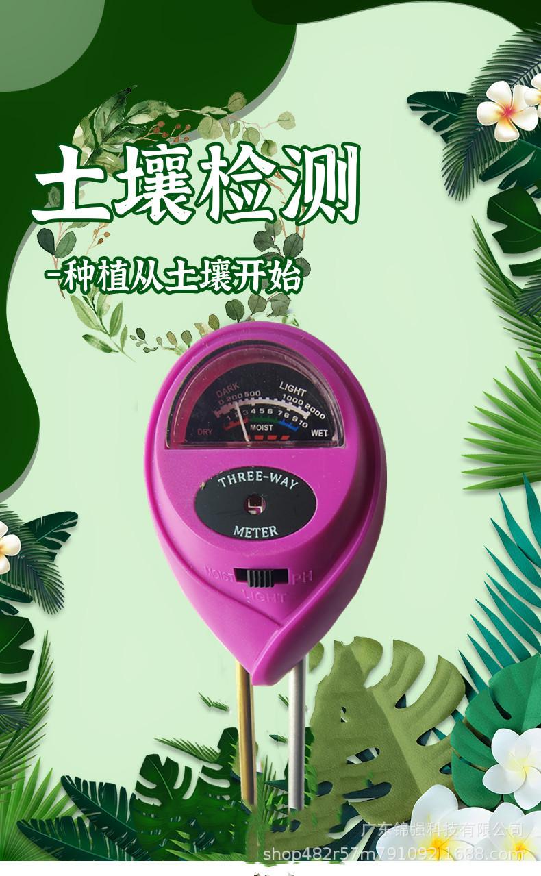 大图.jpg