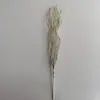 Decoração de Natal Atacado Dragão de Flash Brilhante Deve ser Inserido Decoração de Guirlanda Acessórios de Buquê Revendedor Doméstico Super Ornamentos