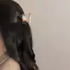 2022 Nuevo Pasador de Mariposa Suave Pinza de Tiburón Dulce para la Parte Trasera del Cabello Pinza de Ácido Acético Japonesa y Coreana Accesorios para el Cabello Mujer