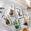 Armário e Sapateira Aromaterapia Sem Fogo Pastilhas de Cera Cera de Soja Fragrância Fragrância para Armário Pastilhas Penduradas Desodorizante Lembrança