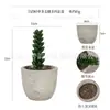 Planta en Maceta Artificial Mini Transfronteriza Hecha a Medida Adornos de Escritorio Bonsái Suculento de Simulación Flor Artificial Planta Verde Pulpa Suculenta Planta en Maceta