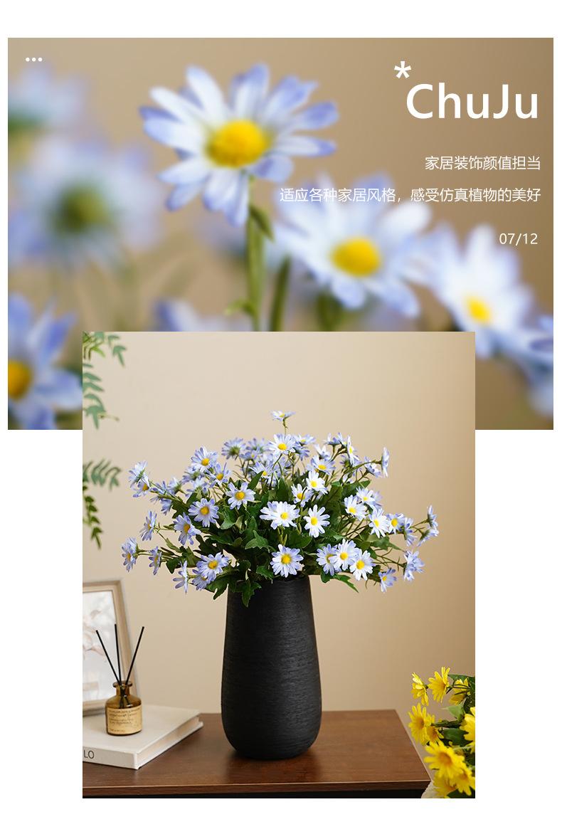 9头韩式菊_02.jpg
