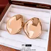 Pendientes de Plata con Hojas de Aguja Brillantes y Plisados Europeos y Americanos, Clavos Modernos y Versátiles, Pendientes de Estilo Minimalista Simple para Mujeres, Diseño de Nicho