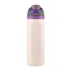 Taza de Fruta de Doble Tapa Estilo Celebridad Transfronteriza Botella de Agua de Acero Inoxidable 304 Jarra de Agua Deportiva con Asa Portátil Venta al por Mayor