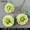 Decoración de Flores Artificiales Verdes Material de Flores de Hoja de Manzana Flor Exterior Planta Verde Hermoso Arreglo Chen Simulación de Hoja de Tortuga Arte Floral para Boda