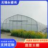 Invernadero de hortalizas, cobertizo para plantar melones, frutas y verduras, invernadero para plantar uvas, invernadero inteligente para exteriores con sombrilla, invernadero de hortalizas
