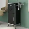 Gabinete de Barbería, Mesa de Herramientas para Salón de Peluquería, Gabinete de Herramientas para Permanente y Tinte de Salón de Peluquería, Gabinete para Cortar el Cabello, Carrito para Salón de Belleza, Equipo Estándar, Otros