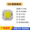 Fornecimento de Fonte de Luz Cob com Montagem Flip 4640 Integrada 5W-100W Holofote de Alta Potência Luz LED Solar Sem Driver