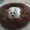 Cama Redonda de Pelúcia para Gato Cama Quente de Inverno para Gato Cama para Cachorro Tapete para Gato Suprimentos para Pets Cama para Cachorro Atacado Espessada para Interior