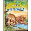 Livro de Imagens de Ciências Naturais Interessante História Infantil 3-10 Anos Livro de Imagens de Leitura Infantil Turma Pequena, Média e Grande Livro de Imagens para Bebês