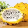 Venta al por mayor y entrega de Pitahaya de Hainan 1/3/ 2.5 kg Pitahaya de piel amarilla, Delicadamente dulce y fragante, Caja de regalo, Fruta fresca de temporada