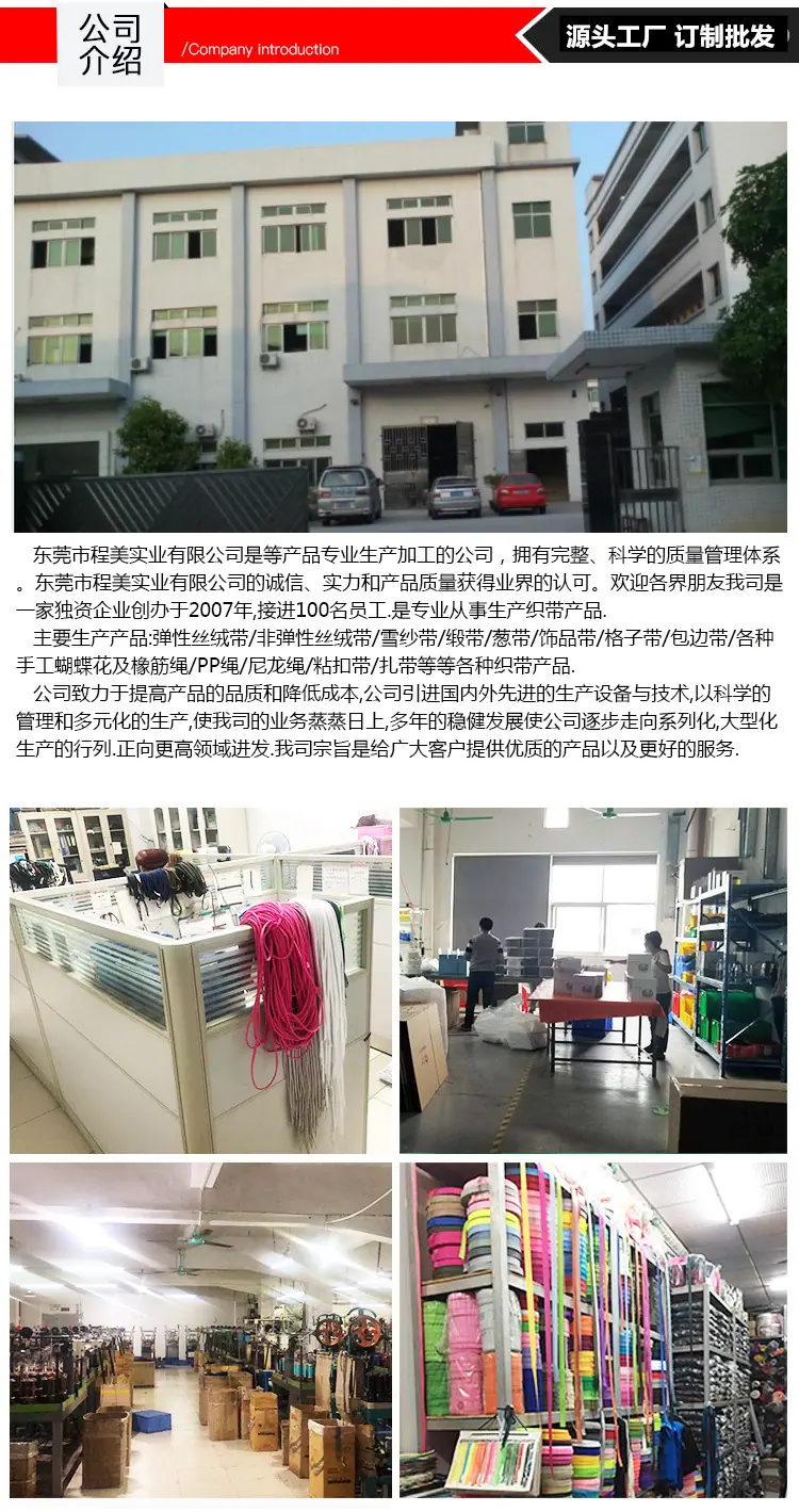 公司介绍