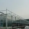 Ingeniería de invernaderos de vidrio, invernaderos para salas de exposiciones, estructuras de invernaderos conectados a gran escala, construcción y procesamiento de invernaderos de exhibición agrícola