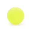 Pelota Luminosa de Juguete para Perros, Pelota Elástica Resistente a Mordeduras que Brilla en la Oscuridad, Juguete Interactivo de Entrenamiento para Mascotas, Pelota de Goma para Morder al por Mayor