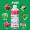 Fertilizante Líquido de Boro Enxofre Boro Genuíno Fertilizante de Boro Solúvel em Água Fertilizante para Árvores Frutíferas Fertilizante Foliar Proteção de Flores e Frutos Micronutrientes