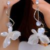 2025 Pendientes de Borla Larga de Iris Fresco Atmósfera Nicho Estilo Exquisito Pendientes Versátiles Elegantes Suaves