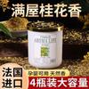 Produtos genuínos Fragrância Gardênia Aromaterapia Francesa Agente Fresco Doméstico Quarto Aromaterapia Vaso Sanitário Desodorizador Artefato