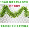 Plantas verdes artificiales, enredaderas, hojas falsas, hiedra de hoja perenne, flores de plástico, plantas trepadoras artificiales, hojas de vid, hiedra verde