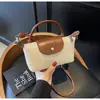 Bolso Tejido de Paja Arcoíris Nuevo 2026 para Mujer, Bolso de Hombro Ligero y Sencillo de Nicho con un Diseño Elegante, Bolso de Mano y Bolso Cruzado Estilo Coreano