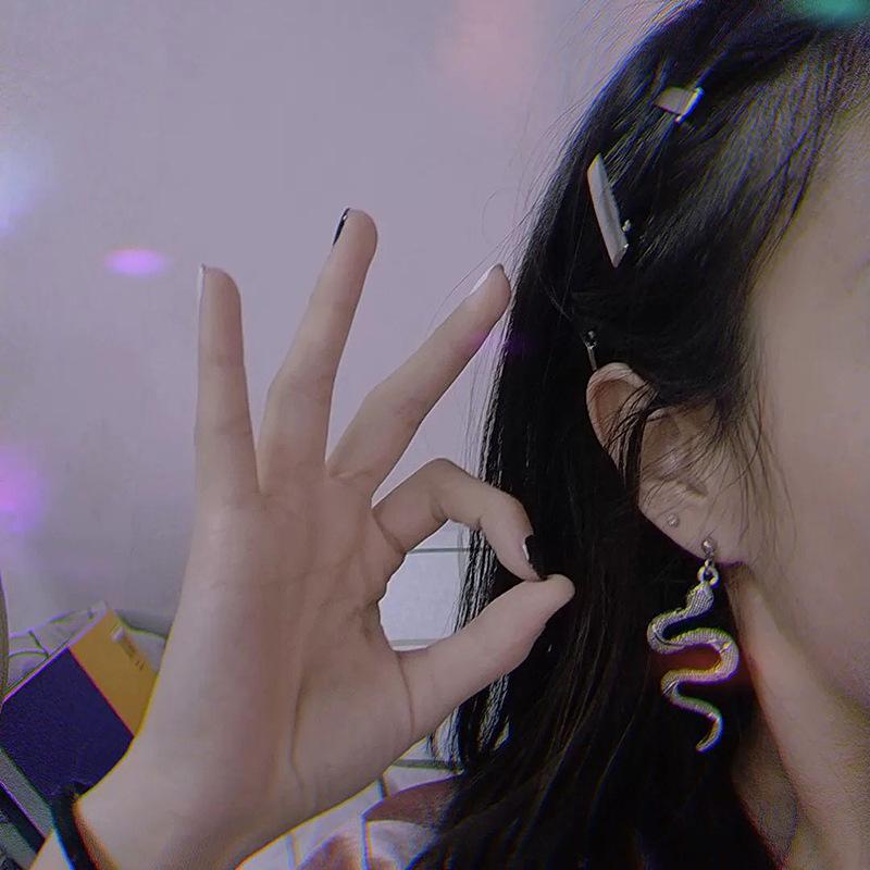 大蛇耳钉4