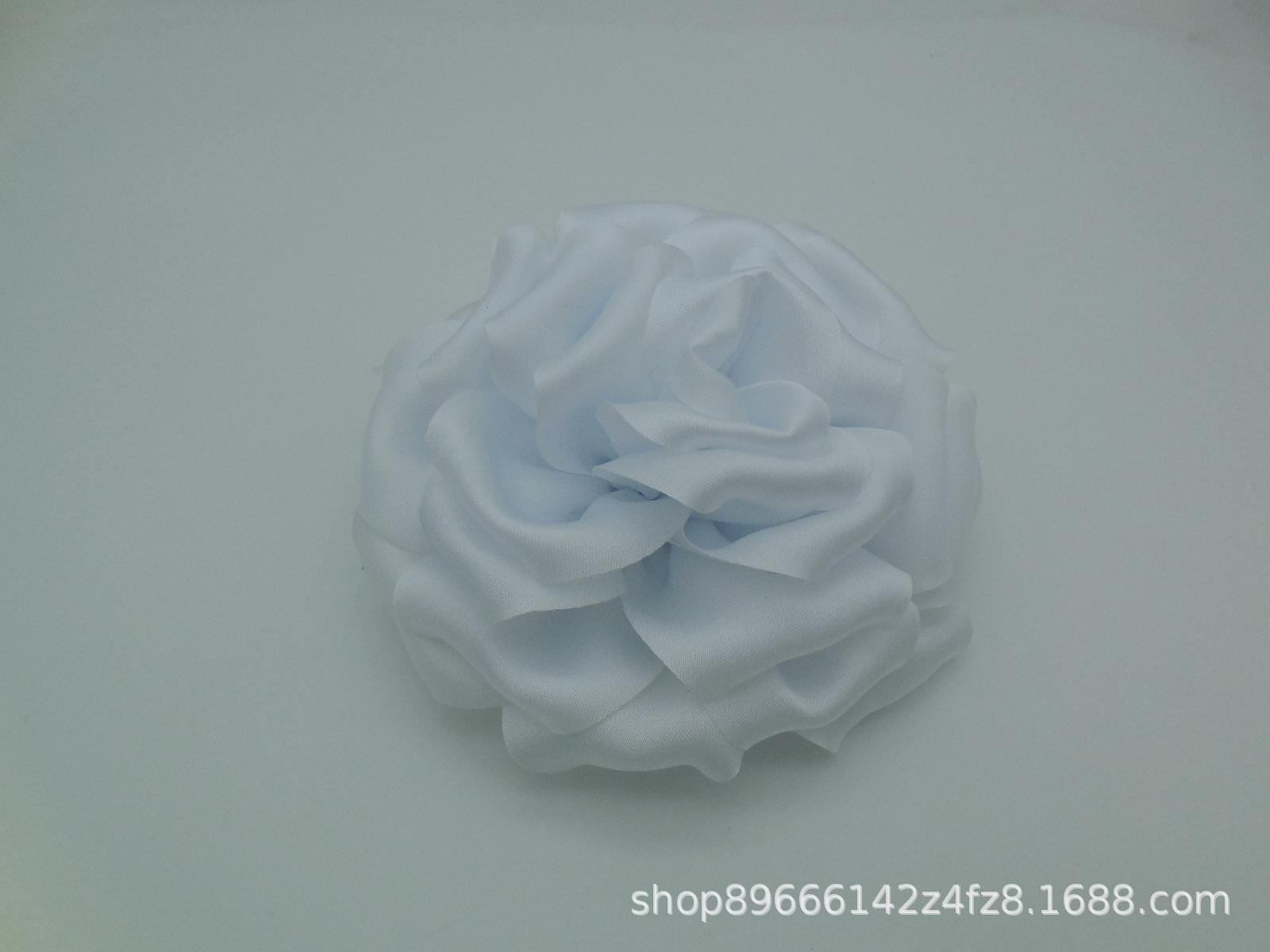 DSCN0667.JPG