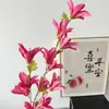 Flor Artificial Ramo Longo Orquídea Fengyu Casamento Flor de Seda Flor Falsa Flor Orquídea Salão de Casamento Fileira de Flores Arte Floral Material de Flor Artificial Orquídea Fengyu