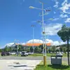 Proyecto prepago para nuevas áreas rurales: Farolas solares de doble cabeza con brazo alto y bajo, postes de farola de 6,8 m y 10 m