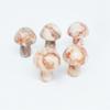 Pedra Natural Transfronteiriça 2cm Ornamentos de Cogumelo Mini Cogumelo Pequeno Ágata Artesanato Micro Paisagem Decorações de Cristal