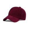 Gorra transfronteriza para mujer, otoño e invierno, nueva gorra de béisbol de pana, estilo coreano, para hombre y mujer, simple, color liso, con visera, cálida, moda