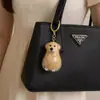 Huevo de Perro Transparente Botella para Recoger Pelo de Mascota Colgante en Bolsa Decoración Cápsula de Almacenamiento Llavero Recuerdo
