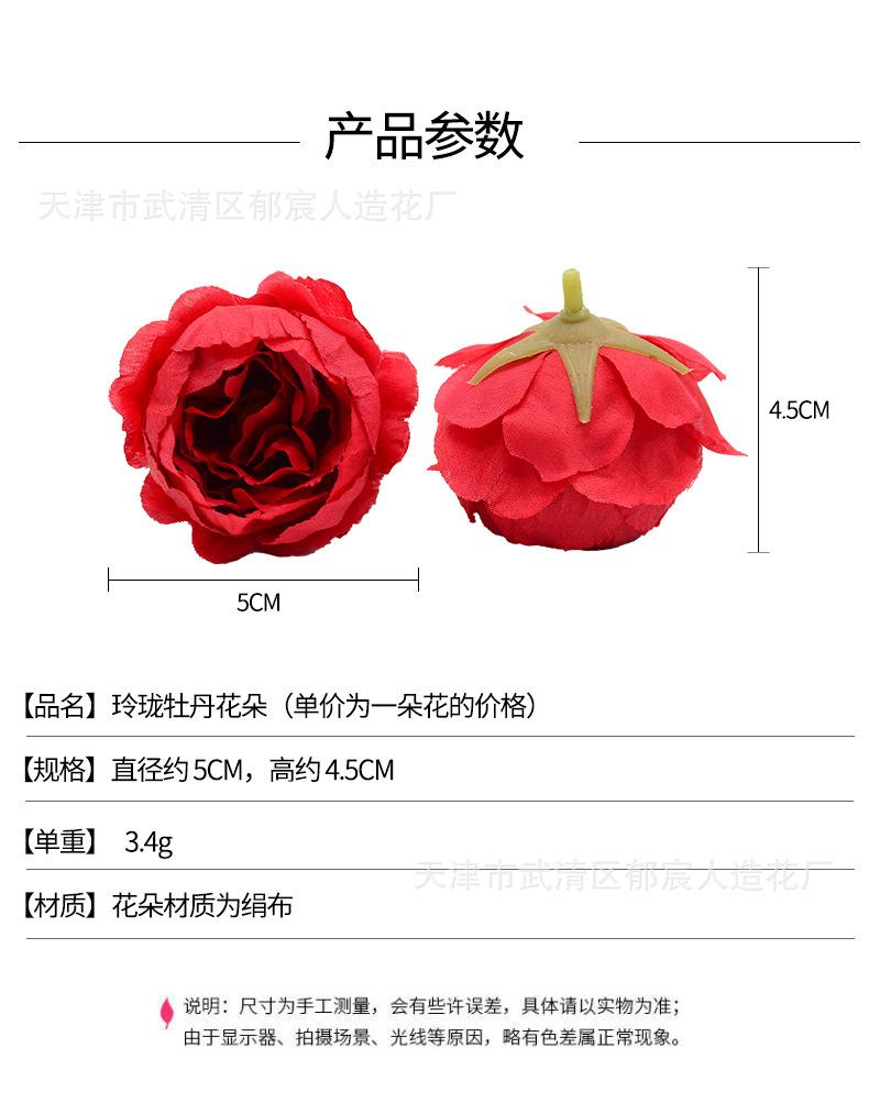 详情_01.jpg