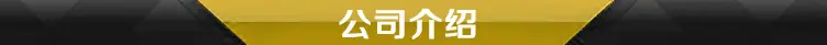 公司介绍