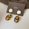 Pendientes Geométricos de Flor de Resina Transfronterizos Europeos y Americanos Otoplastias Maillard Otoño e Invierno Diseño Nicho de Gama Alta Joyería para Orejas Venta al por Mayor