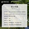 Hidrosol de Ylang Ylang Contiene Aceites Esenciales y Extractos de Plantas en Botellas Grandes para Compresas Húmedas, Tónico de Ylang Ylang, Cuidado de la Piel para Spa y Materias Primas Cosméticas al por Mayor