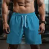 Shorts Masculinos de Verão de Alta Qualidade para Comércio Exterior e Vendas Transfronteiriças, Secagem Rápida, Modelagem Solta, Shorts Casuais Oversized, Shorts de Praia