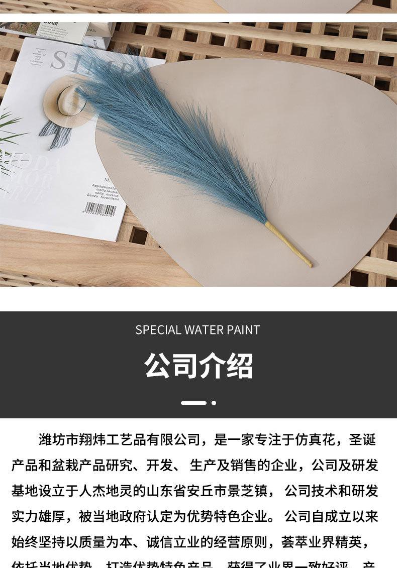 详情_11.jpg