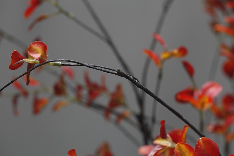 _MG_3256.jpg