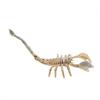 Juguete de terror de Amazon, esqueleto de Halloween, cuerpo completo, esqueleto móvil, barra, cámara, accesorios de estilismo
