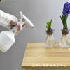 Exportación Transfronteriza Pulverizador Eléctrico Portátil de Presión Olla de Boca Larga para Plantar Flores y Regar Flores Limpieza del Hogar Spray Continuo Embalaje