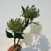 Flor de segurar com Yang arte floral casa roupa macia material para arranjo de flores almofada de agulha flor cor retrô decoração adereços de fotografia