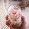 Regalo de Flor Eterna Tanabata Día de San Valentín Navidad Regalo Creativo Cubierta de Vidrio Decoración de Rosa Fábrica Amazon