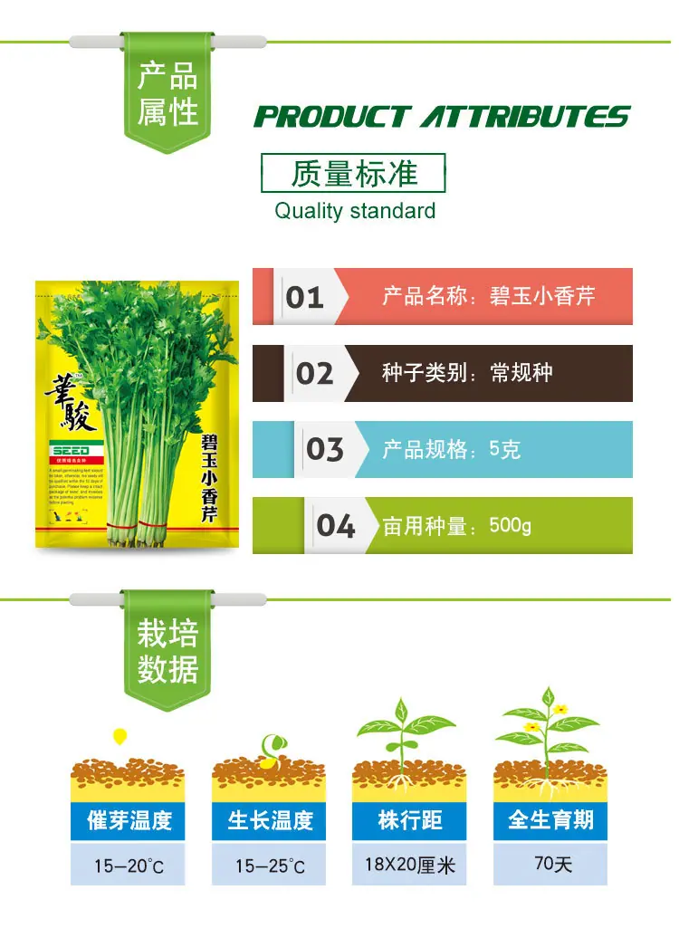 碧玉小香芹8
