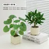 Plantas Verdes, Vasos Pequenos, Árvore da Fortuna Semelhante para Mesas de Escritório Internas, Mesas de Centro de Sala de Estar, Flores Artificiais e Arranjos Florais